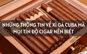 xì gà cuba