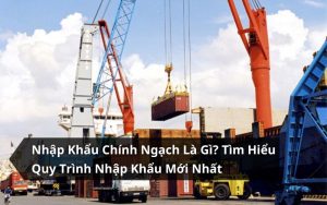 nhập khẩu chính ngạch