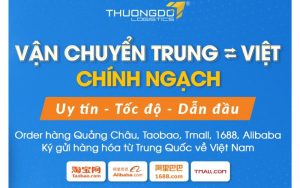 Thương Đô Logistics